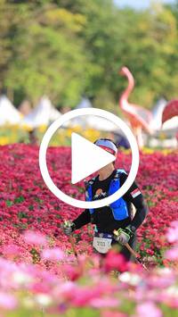 BIB:  <button type="button" onclick="openModal(27583623)" class="btn btn-primary btn-sm float-right" data-toggle="modal" data-target=".modal-high-quality">
                <i class="fa fa-download"></i> Download
                </button>